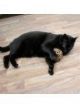 Jr Farm Pelota Bavarian Nature de Catnip para Gatos