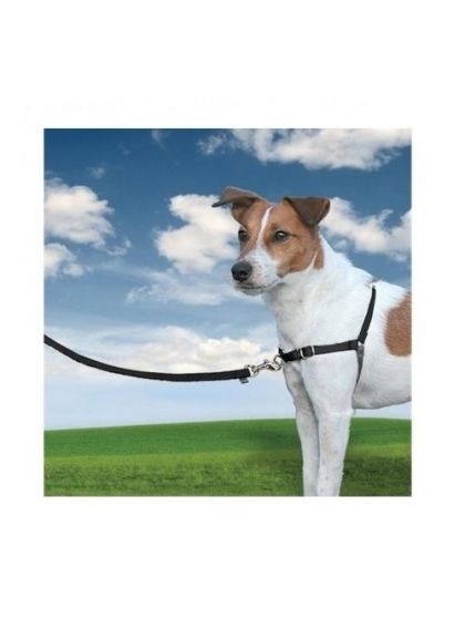 Arnés Antitirones Easy Walk Talla S